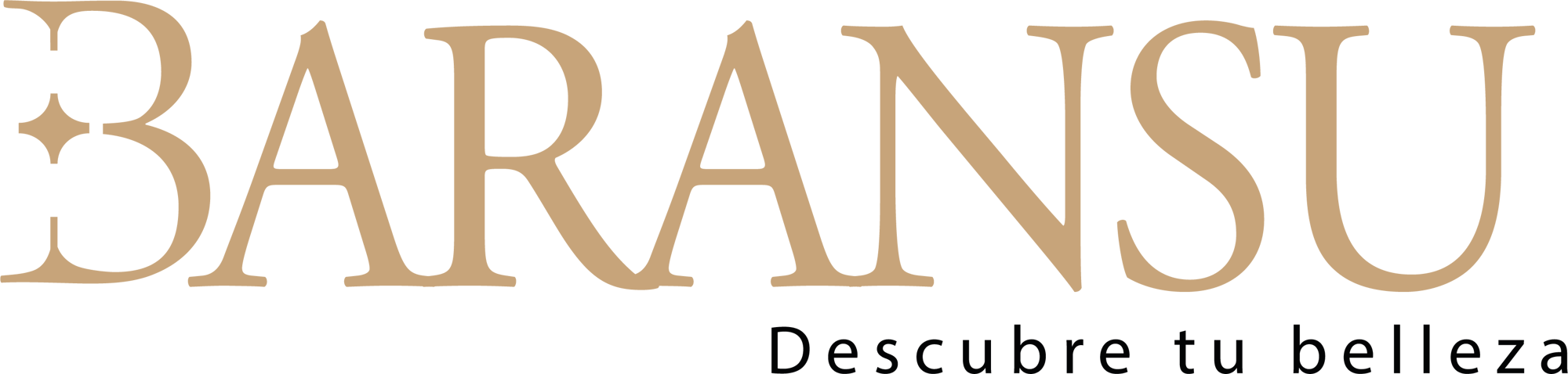 LOGO BARANSU LOGO BARANSU