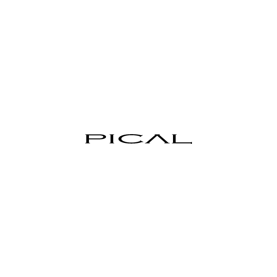 PICAL logo